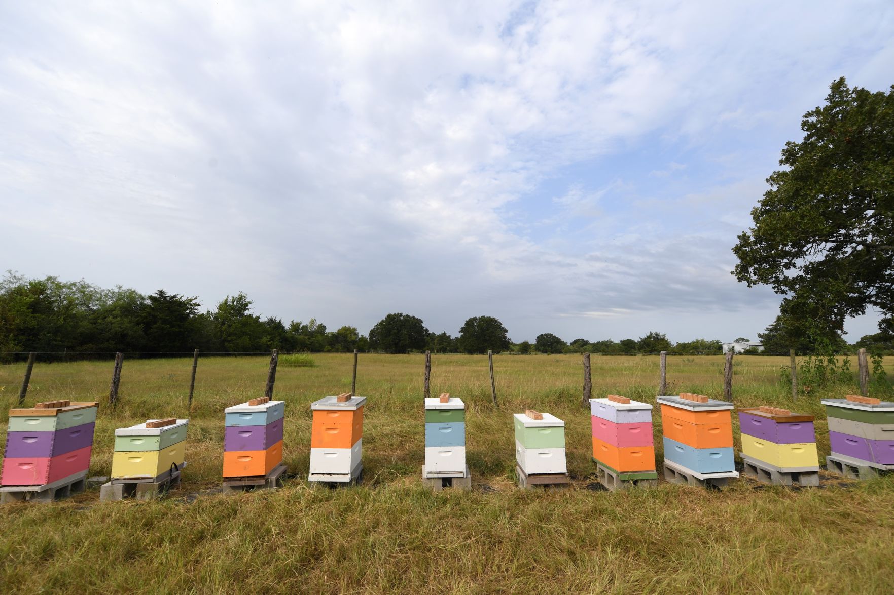 Beekeepers